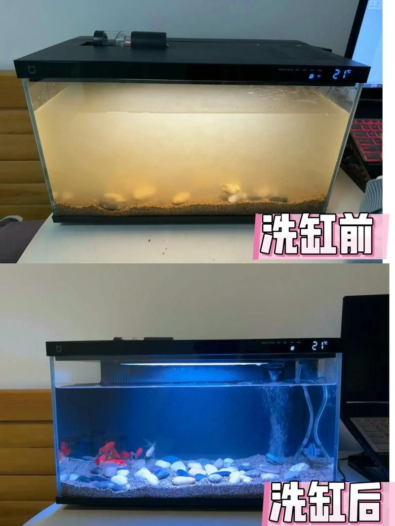 金龍魚濾材多久換一次？（金龍魚濾材多久換一次）