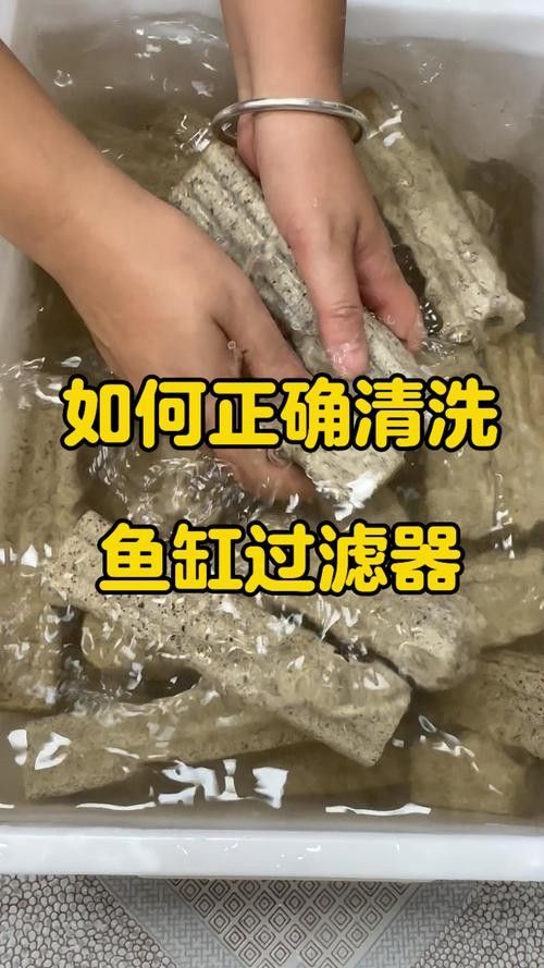 金龍魚濾材多久換一次？（金龍魚濾材多久換一次）