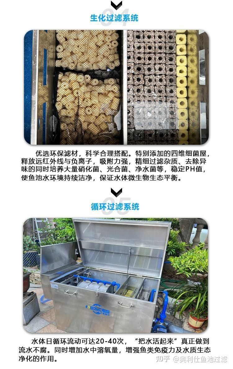 金龍魚濾材多久換一次？（金龍魚濾材多久換一次）