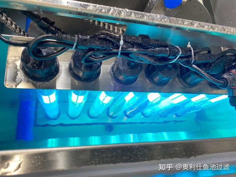 金龍魚濾材多久換一次？（金龍魚濾材多久換一次）