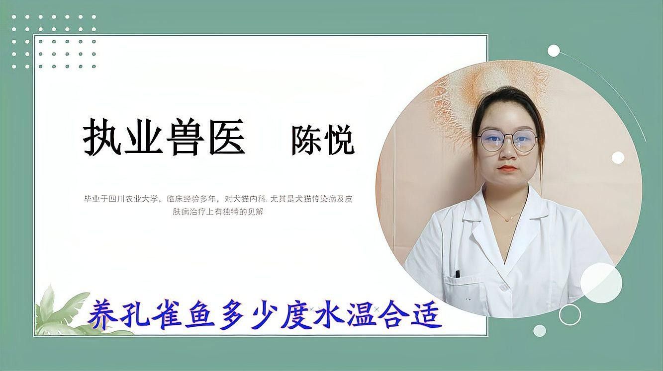 孔雀魚需要多少度的水溫？（養孔雀魚多少度水溫合適）