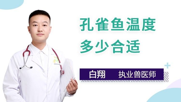 孔雀魚需要多少度的水溫？（養孔雀魚多少度水溫合適）