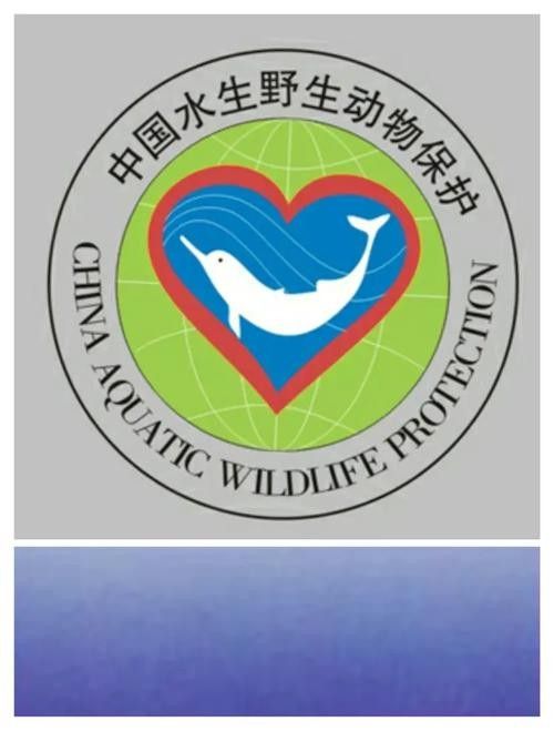 有哪些保護標識牌包含過山龍魚圖片？（保護標識牌中包含過山龍魚圖片的具體案例）
