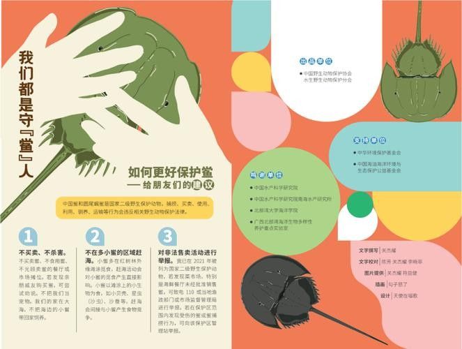 有哪些保護標識牌包含過山龍魚圖片？（保護標識牌中包含過山龍魚圖片的具體案例）