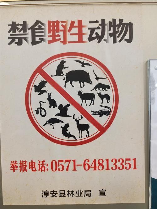 有哪些保護標識牌包含過山龍魚圖片？（保護標識牌中包含過山龍魚圖片的具體案例）