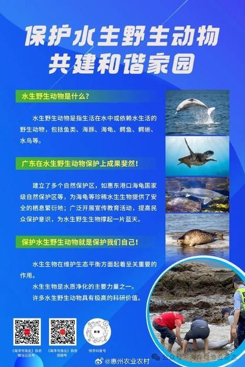 有哪些保護標識牌包含過山龍魚圖片？（保護標識牌中包含過山龍魚圖片的具體案例）