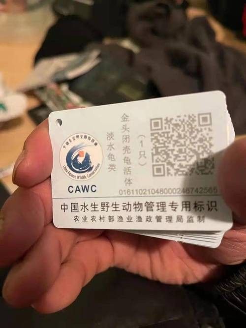 有哪些保護標識牌包含過山龍魚圖片？（保護標識牌中包含過山龍魚圖片的具體案例）