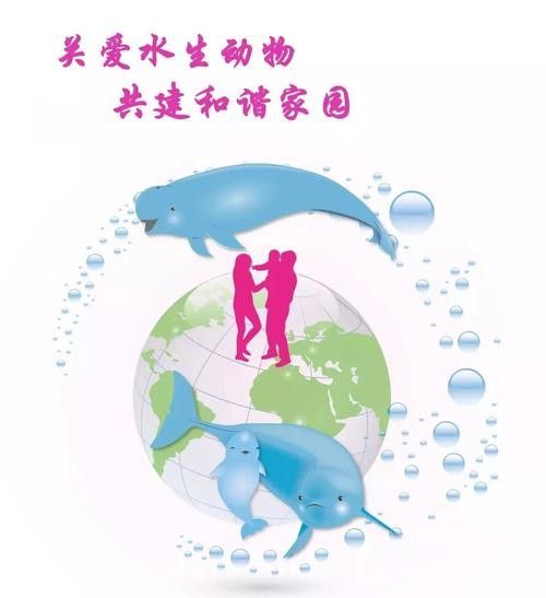 有哪些保護標識牌包含過山龍魚圖片？（保護標識牌中包含過山龍魚圖片的具體案例）