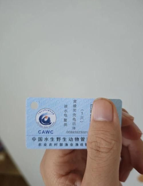 有哪些保護標識牌包含過山龍魚圖片？（保護標識牌中包含過山龍魚圖片的具體案例）