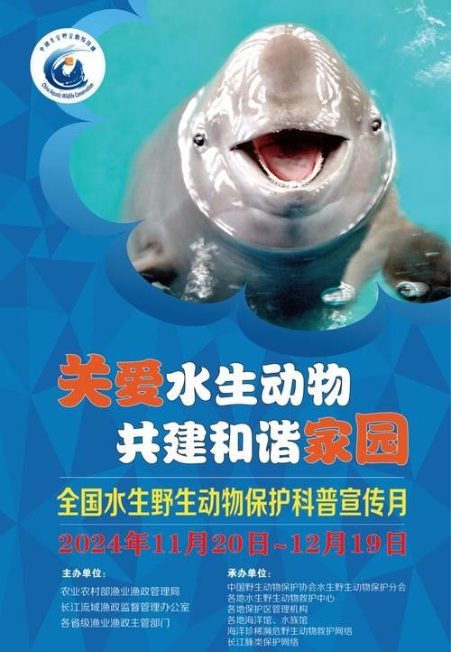 有哪些保護標識牌包含過山龍魚圖片？（保護標識牌中包含過山龍魚圖片的具體案例）