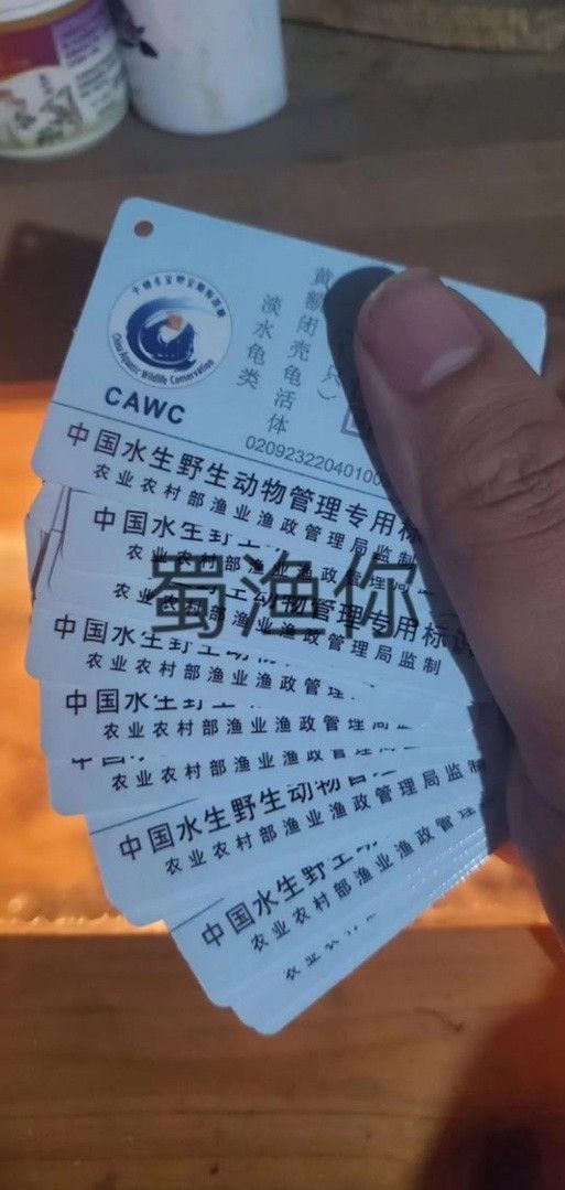 有哪些保護標識牌包含過山龍魚圖片？（保護標識牌中包含過山龍魚圖片的具體案例）