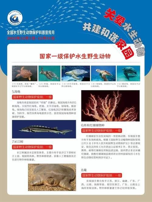 有哪些保護標識牌包含過山龍魚圖片？（保護標識牌中包含過山龍魚圖片的具體案例）