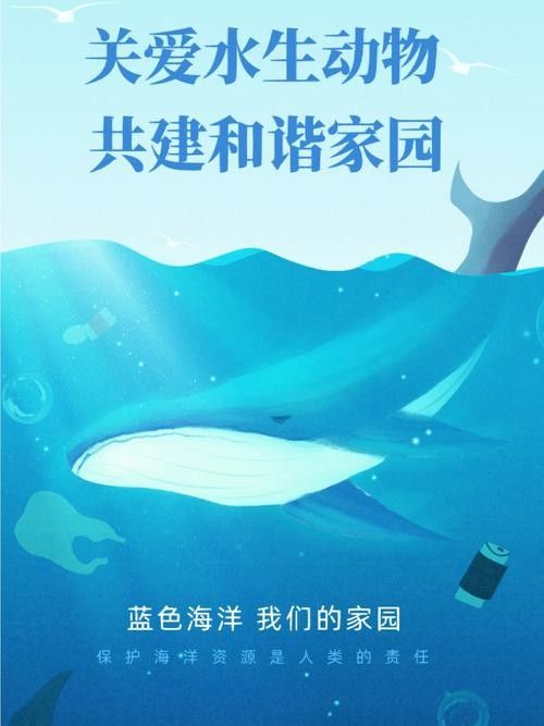 有哪些保護標識牌包含過山龍魚圖片？（保護標識牌中包含過山龍魚圖片的具體案例）