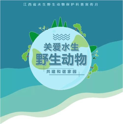 有哪些保護標識牌包含過山龍魚圖片？（保護標識牌中包含過山龍魚圖片的具體案例）