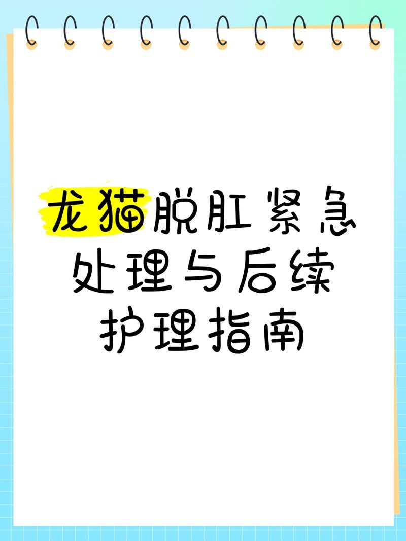 龍貓術(shù)后如何護(hù)理（龍貓寵物術(shù)后護(hù)理龍貓術(shù)后多久可以恢復(fù)健康的環(huán)境）