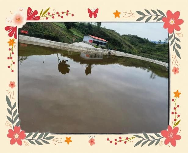 龍魚灣垂釣園有哪些魚類可以釣（武平龍魚灣垂釣園垂釣基地魚類種類及垂釣規則詳解）
