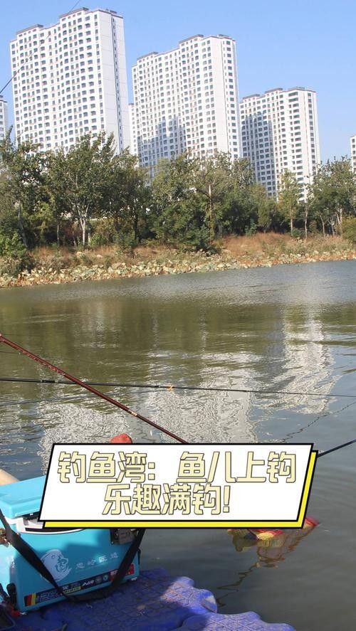 龍魚灣垂釣園有哪些魚類可以釣（武平龍魚灣垂釣園垂釣基地魚類種類及垂釣規則詳解）