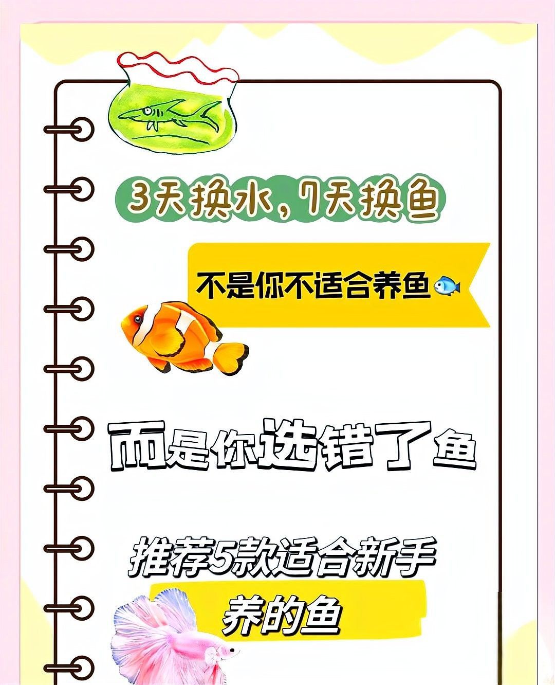斑馬鴨嘴魚和龍魚混養需要哪些設備（混養斑馬鴨嘴魚和龍魚需要多大的魚缸？）