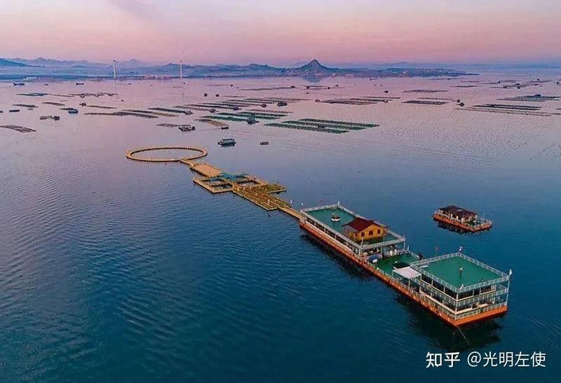 淡水海龍魚繁殖期間需要喂食嗎？（海龍魚在繁殖期間需要喂食嗎）