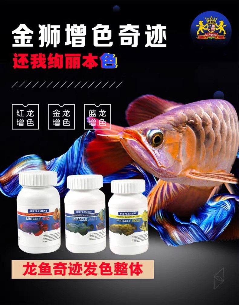 高背金龍魚發色需要哪些輔助劑？（高背金龍魚發色輔助劑推薦）