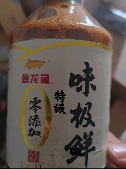 金龍魚(yú)換水后喂什么食物好？（金龍魚(yú)換水后多久喂一次合適）