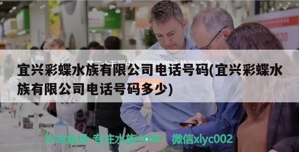 宜興彩蝶水族有限公司電話號碼(宜興彩蝶水族有限公司電話號碼多少)（宜興彩蝶水族有限公司電話號碼）