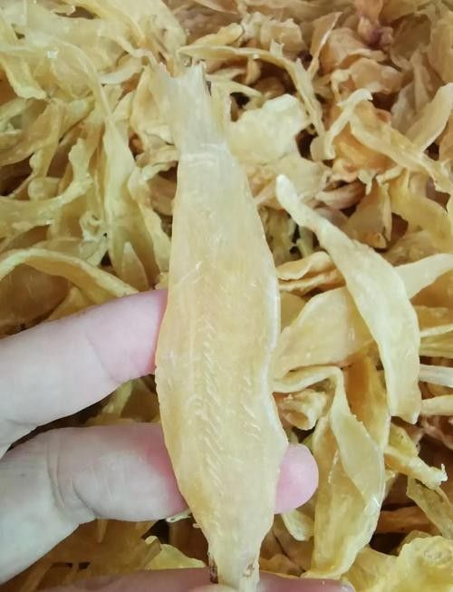 南美小金龍魚膠的泡發方法（南美小金龍魚膠怎么泡發）