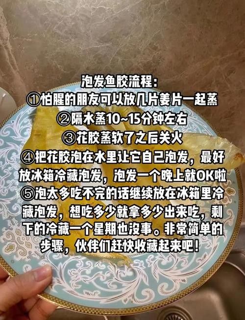 南美小金龍魚膠的泡發方法（南美小金龍魚膠怎么泡發）