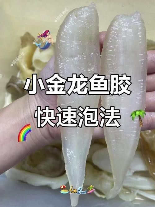 南美小金龍魚膠的泡發方法（南美小金龍魚膠怎么泡發）