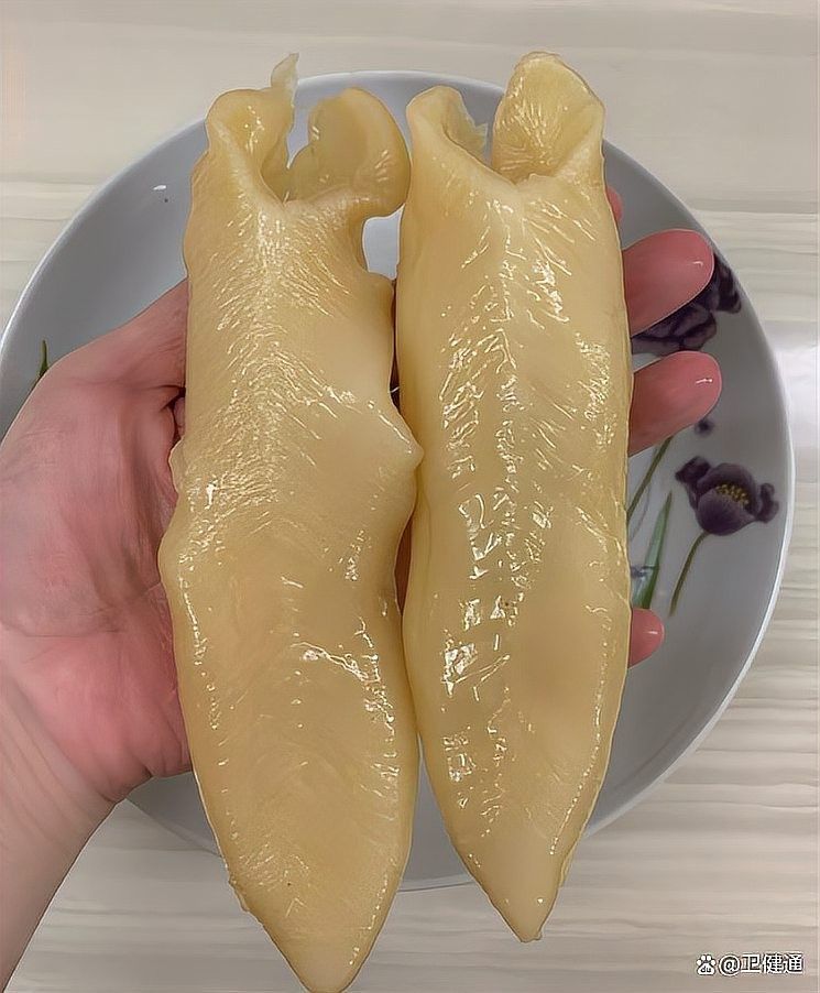 南美小金龍魚膠的泡發方法（南美小金龍魚膠怎么泡發）