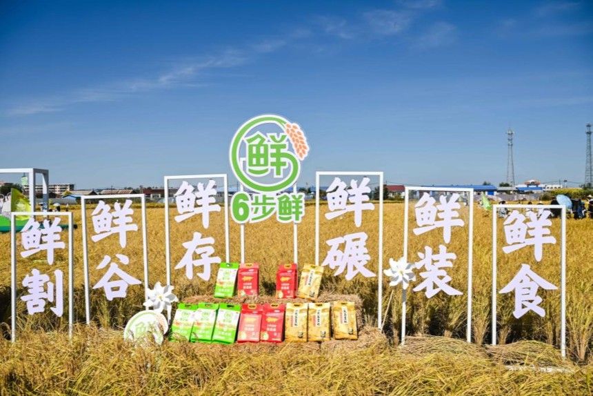 金龍魚的新產品何時上市（超越“世界米王”日本越光米）