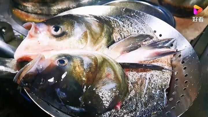 黃龍魚頭有哪些招牌菜品？