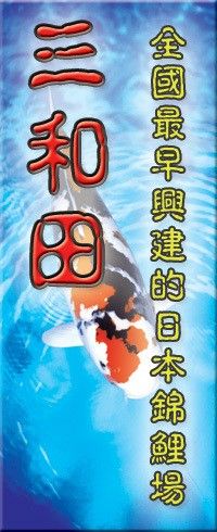 東莞東江錦鯉養殖場是否也銷售龍魚（東莞東江錦鯉養殖場是否銷售龍魚） 東莞東江錦鯉養殖場是否也銷售龍魚（東莞東江錦鯉養殖場是否銷售龍魚） 龍魚百科 第3張
