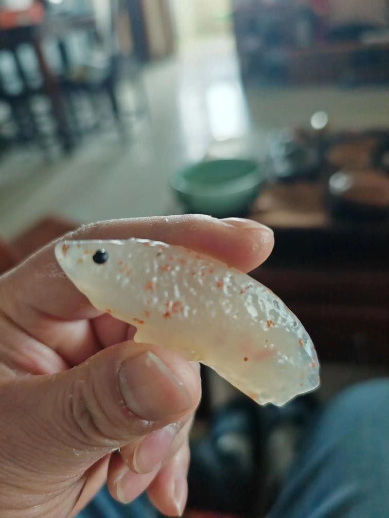 金龍魚在高溫下會有哪些反應（jovian圖鑒三農科普|如何避免龍魚暴斃降溫技巧大公開）
