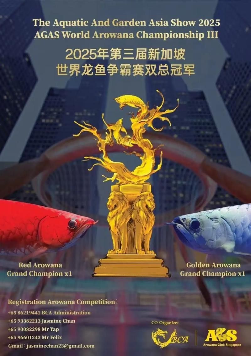 龍魚天下平臺(tái)如何加入？（商家入駐龍魚天下平臺(tái)需要哪些資質(zhì)？）