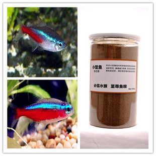 龍魚可以和豬鼻龜混養嗎圖片大全（龍魚和豬鼻龜可以混養嗎？）