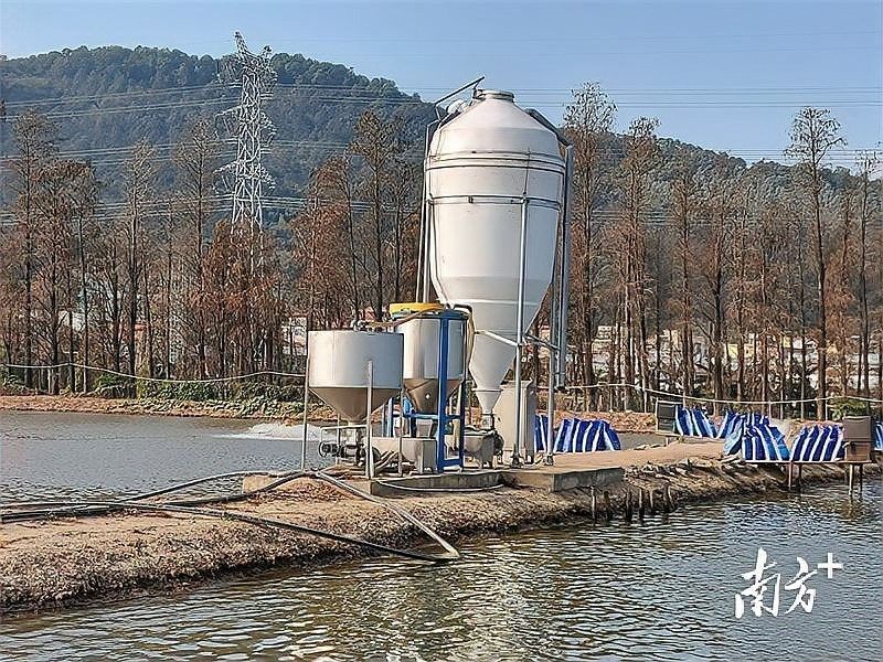坦洲鎮有龍魚養殖場嗎？（中山市坦洲鎮有龍魚養殖場嗎？）