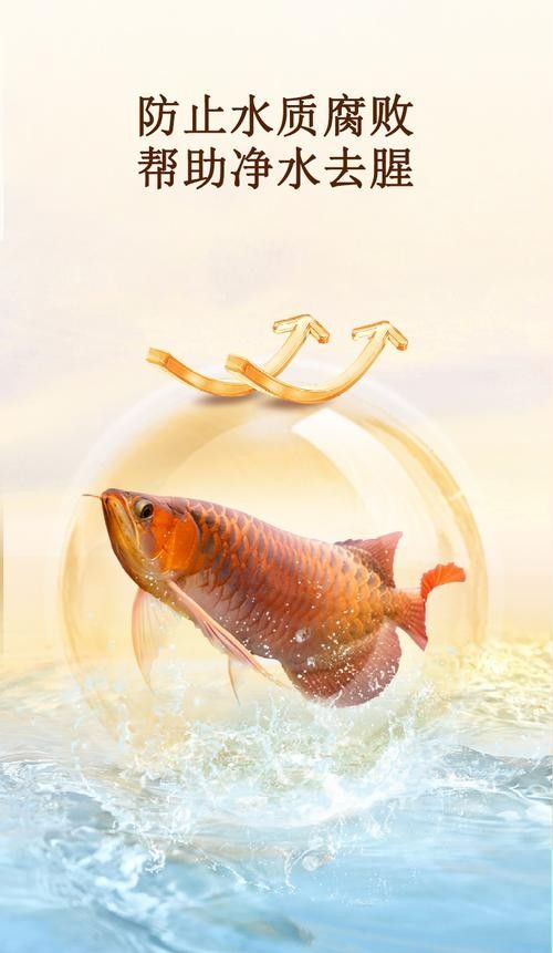 有哪些品牌的水草適合龍魚（適合龍魚的水草品牌）