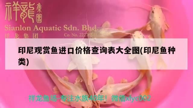 印尼觀賞魚進口價格查詢表大全圖(印尼魚種類)