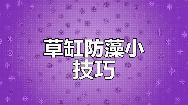 龍魚缸改草缸需要多久過渡（魚缸改草缸的過渡期怎么辦？）