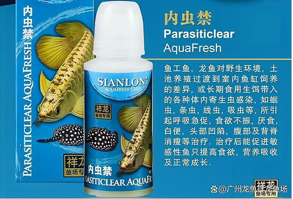 哪些中藥制劑適合龍魚除蟲