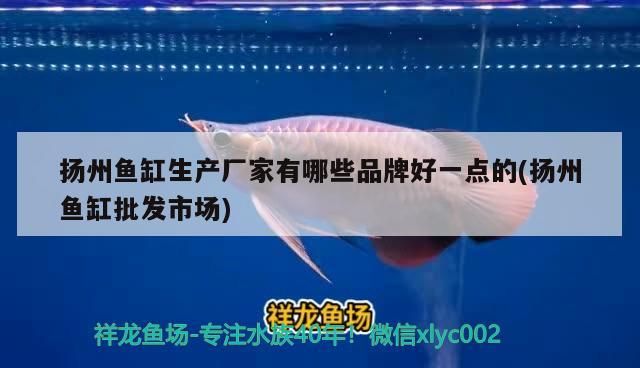 魚缸用增氧泵價格是多少:魚缸增氧機-xtrac增氧機-xtrac增氧機 揚州魚缸生產廠家有哪些品牌好一點的(揚州魚缸批發市場) 觀賞魚百科 揚州魚缸生產廠家有哪些品牌好一點的(揚州魚缸批發市場) 揚州魚缸生產廠家有哪些品牌好一點的(揚州魚缸批發市場) 觀賞魚百科