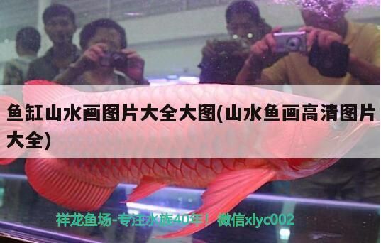 龍魚 魚缸山水畫圖片大全大圖(山水魚畫高清圖片大全) 觀賞魚百科 魚缸山水畫圖片大全大圖(山水魚畫高清圖片大全) 魚缸山水畫圖片大全大圖(山水魚畫高清圖片大全) 觀賞魚百科