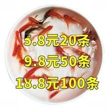 紅龍魚苗的價格范圍是多少？（廣州龍魚祥龍魚場紅龍魚苗價格2688貴嗎）
