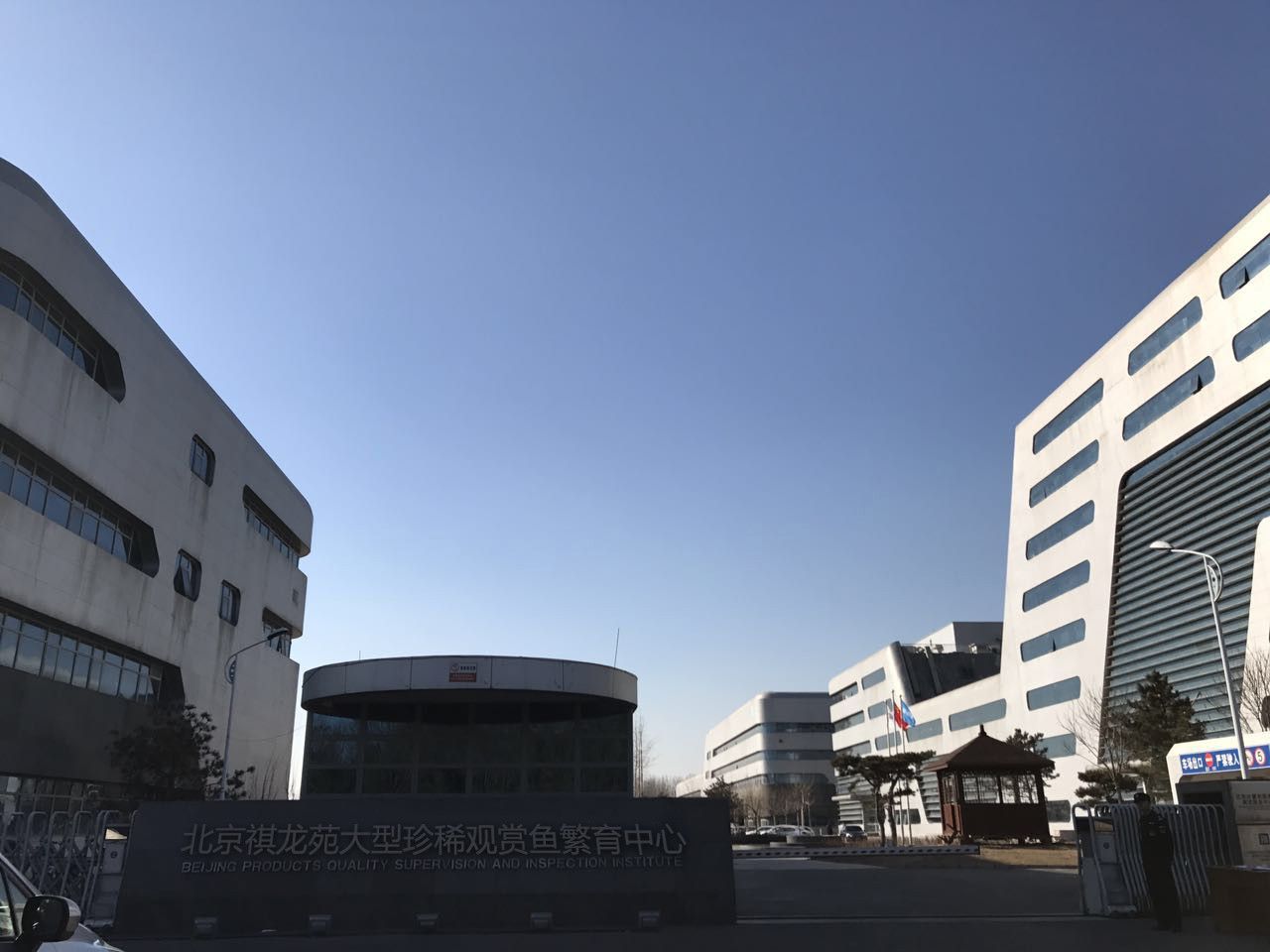 友好哪個水族館龍魚好？祥龍魚場龍魚