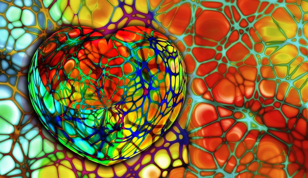 龍魚缸底層魚怎么投喂(龍魚底缸怎么布置)