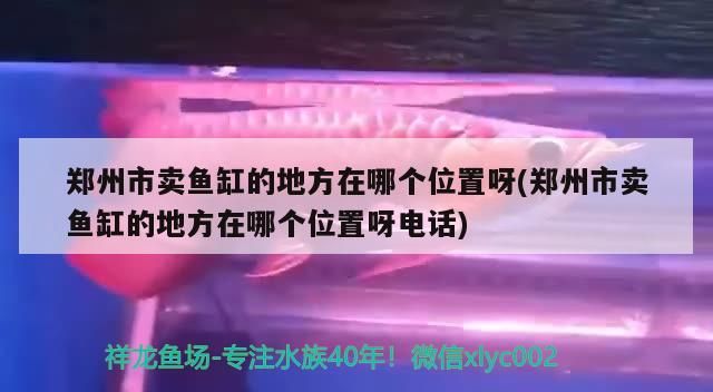 鄭州市賣魚缸的地方在哪個位置呀(鄭州市賣魚缸的地方在哪個位置呀電話)（鄭州賣魚缸的地方在哪個位置呀）