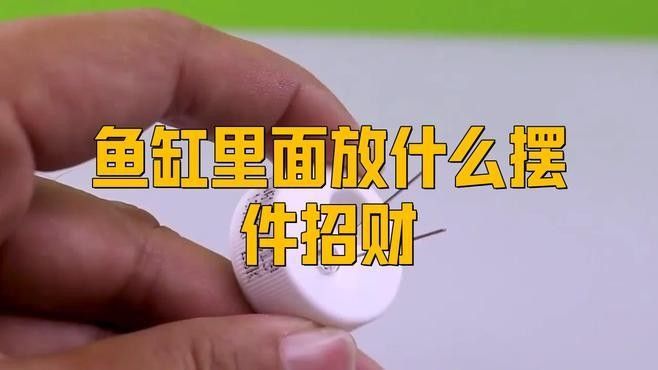 紅龍魚和招財魚混養需要哪些裝飾物？（紅龍魚和招財魚混養時需要一些特定的裝飾物來創造一個和諧且適宜的生活環境）