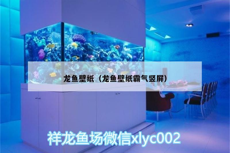 龍魚壁紙（龍魚壁紙霸氣豎屏）
