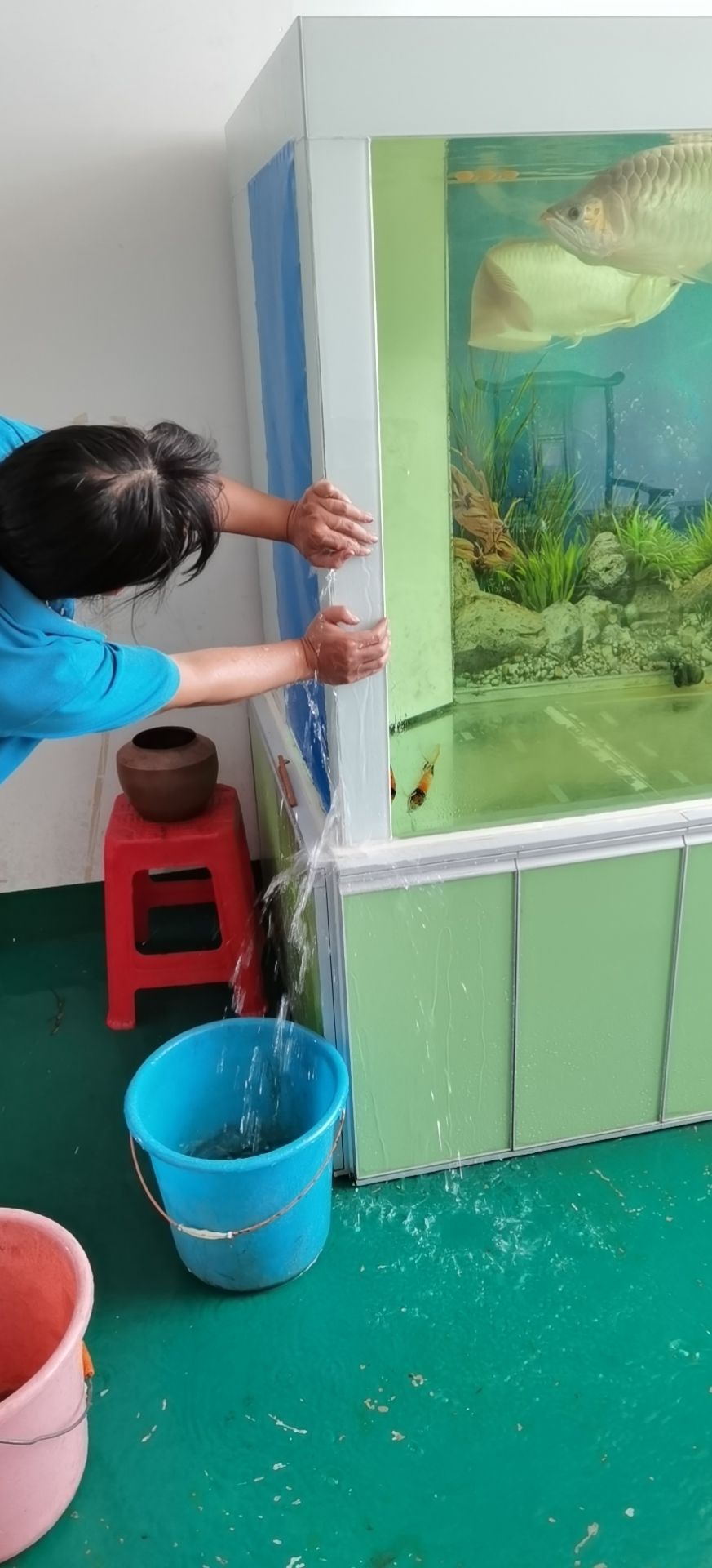 求助不銹鋼能代替玻璃直接做魚缸嗎？ 求助不銹鋼能代替玻璃直接做魚缸嗎？ 觀賞魚百科 第2張